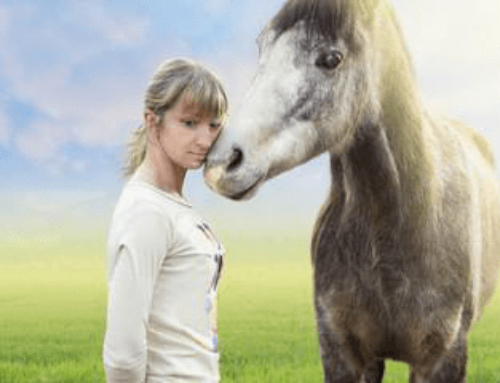 How Can Equine Therapy Benefit Those in Rehab?