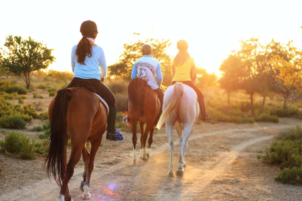 A group of women ride horses on a trail