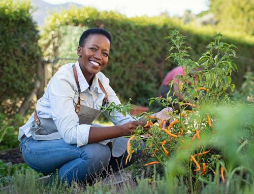 Horticulture Therapy: How it Benefits Addiction Recovery