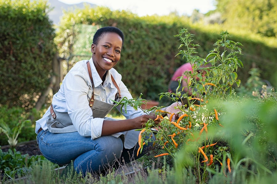 A woman practicing horticulture therapy while gardening.