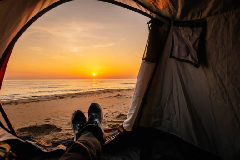 Healing through nature in addiction recovery