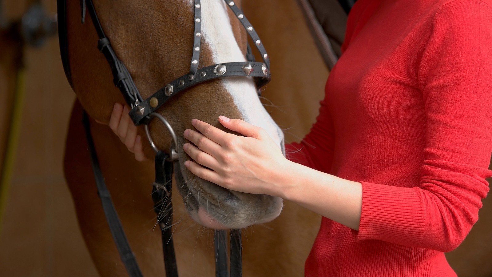 Woman participating in equine therapy