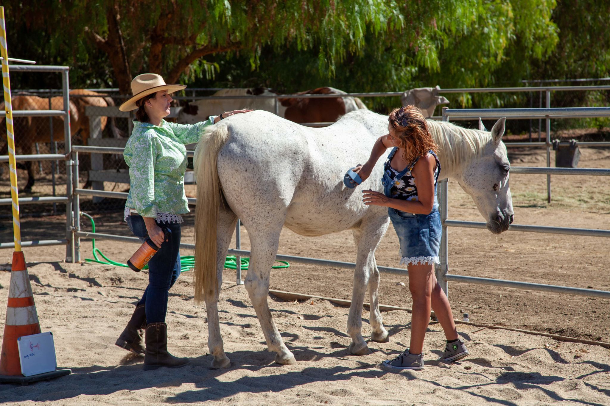 Equine Therapy for holistic Addiction Treatment