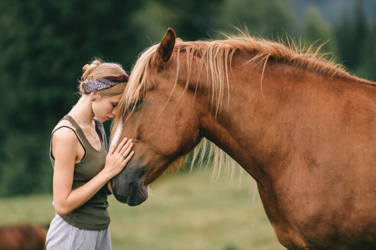 Equine therapy helping addiction recovery at Ranch Creek