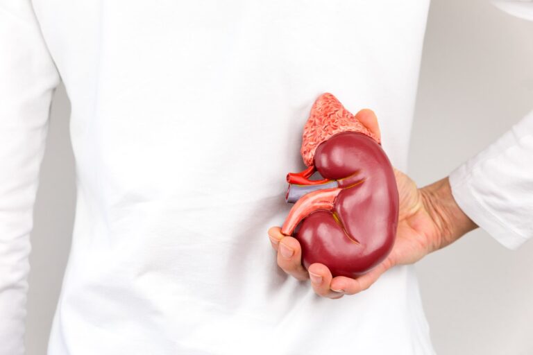 Does alcohol cause kidney stones and affect kidney health