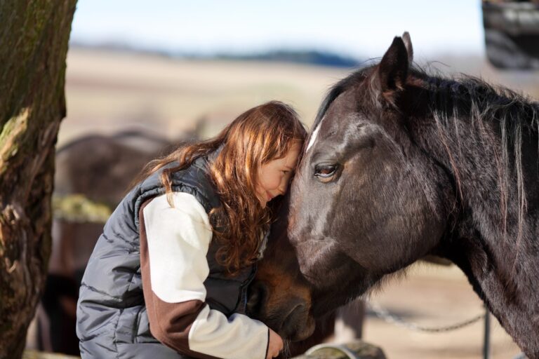 Equine therapy program for addiction recovery at Ranch Creek Recovery