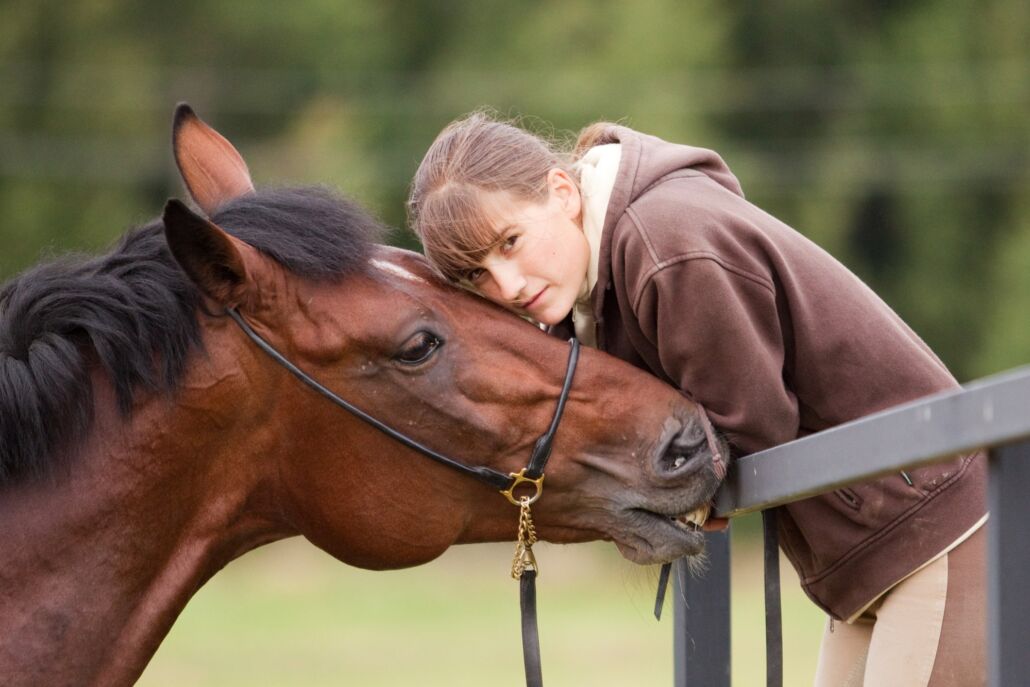 Key Components of Equine Therapy Programs